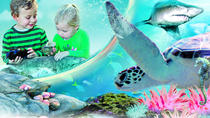 Passe para as atrações de Sydney: SEA LIFE Aquarium, Sydney Tower Eye, WILD LIFE Zoo e Madame Tussauds Passe para as atrações de Sydney: SEA LIFE Aquarium, Sydney Tower Eye, WILD LIFE Zoo e Madame Tussauds