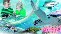 シドニーアトラクションパス:シーライフ水族館、シドニータワーアイ、ワイルドライフ動物園、マダムタッソー分館 シドニーアトラクションパス:シーライフ水族館、シドニータワーアイ、ワイルドライフ動物園、マダムタッソー分館