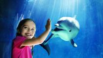 SeaWorld® San Diego SeaWorld® San Diego