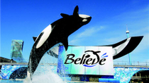 SeaWorld San Diego com transporte SeaWorld San Diego com transporte