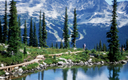Excursion sur le littoral de Vancouver : journée à Whistler, au départ de Vancouver Excursion sur le littoral de Vancouver : journée à Whistler, au départ de Vancouver