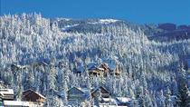 Tour privado: Excursión de un día a Whistler desde Vancouver Tour privado: Excursión de un día a Whistler desde Vancouver