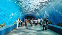 Entrébillet til Underwater World Pattaya med transport fra hotellet Entrébillet til Underwater World Pattaya med transport fra hotellet