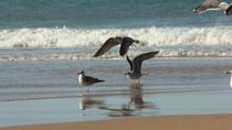 Gita di un giorno a El Rocio, al Parco Naturale di Doñana e alla spiaggia di Matalascañas da Siviglia Gita di un giorno a El Rocio, al Parco Naturale di Doñana e alla spiaggia di Matalascañas da Siviglia