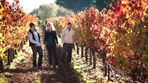 Dagtrip 'van wijngaard naar wijn' Napa en Sonoma met proeverijen en organische-wijntour Dagtrip 'van wijngaard naar wijn' Napa en Sonoma met proeverijen en organische-wijntour