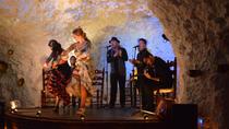 Spectacle de flamenco de 1 heure et demie dans un restaurant-grotte à Grenade Spectacle de flamenco de 1 heure et demie dans un restaurant-grotte à Grenade