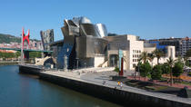 Tour privato: Museo Guggenheim di Bilbao Tour privato: Museo Guggenheim di Bilbao