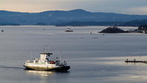 Walexcursie Oslo: 2 uur durende sightseeingcruise door de Oslofjord Walexcursie Oslo: 2 uur durende sightseeingcruise door de Oslofjord