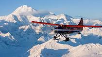 Excursión de vista aérea al Parque Nacional Denali desde Talkeetna Excursión de vista aérea al Parque Nacional Denali desde Talkeetna