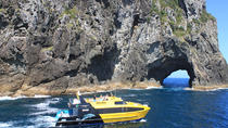 Excursion d'une demi-journée dans la baie des Îles au départ de Paihia Excursion d'une demi-journée dans la baie des Îles au départ de Paihia
