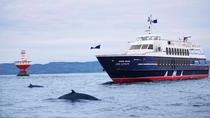 Excursion d'une journée à Rivière-du-Loup et croisière d'observation des ...