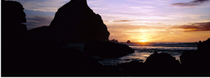 Excursión ecoturística para conocer el parque natural de las cordilleras de Waitakere desde Auckland Excursión ecoturística para conocer el parque natural de las cordilleras de Waitakere desde Auckland