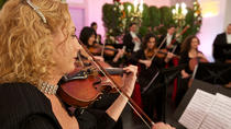 Besichtigung des Schlosses Schönbrunn und Konzert Besichtigung des Schlosses Schönbrunn und Konzert