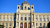 Excursión en autobús con paradas libres por la ciudad de Viena Excursión en autobús con paradas libres por la ciudad de Viena