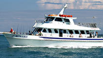 Gruppefisketur i Miami Gruppefisketur i Miami