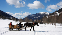 Recorrido en trineo tirado por caballos desde Salzburgo en Navidad Recorrido en trineo tirado por caballos desde Salzburgo en Navidad