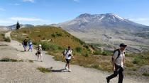 Visite d’une journée complète en petit groupe au volcan du mont Saint Helens au départ de Portland Visite d’une journée complète en petit groupe au volcan du mont Saint Helens au départ de Portland
