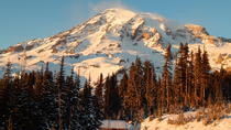 Tour giornaliero di Monte Rainier da Seattle Tour giornaliero di Monte Rainier da Seattle
