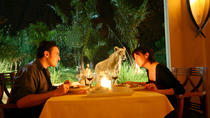 Selbstgeführte 4-stündige Tour mit Abendessen bei den Löwen in kleiner Gruppe in Bali Selbstgeführte 4-stündige Tour mit Abendessen bei den Löwen in kleiner Gruppe in Bali