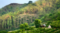 Recorrido por el Chiang Rai y el Triángulo Dorado desde Chiang Mai Recorrido por el Chiang Rai y el Triángulo Dorado desde Chiang Mai