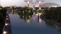 Ingresso al Parco Gardens by the Bay di Singapore con Trasporto Ingresso al Parco Gardens by the Bay di Singapore con Trasporto