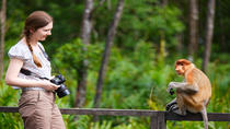 Excursion de 3 jours au départ de Sabah : visite touristique de Sandakan et découverte de la faune à Sepilok et Selingan Excursion de 3 jours au départ de Sabah : visite touristique de Sandakan et découverte de la faune à Sepilok et Selingan