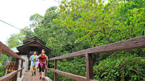 Trek d'une demi-journée au parc national de Penang Trek d'une demi-journée au parc national de Penang