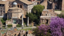 Roma Super Saver: recorrido a pie con entrada preferente a la Antigua Roma y el Coliseo, además de cata de vinos en Frascati Roma Super Saver: recorrido a pie con entrada preferente a la Antigua Roma y el Coliseo, además de cata de vinos en Frascati