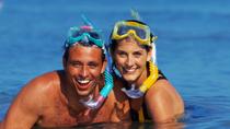 Kustexcursie Barbados: dagtour Barbados Kustexcursie Barbados: dagtour Barbados
