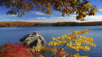 Herfstkleurentour met overnachting vanuit New York City Herfstkleurentour met overnachting vanuit New York City