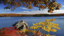 Tour per ammirare i colori dell'autunno con pernottamento da New York Tour per ammirare i colori dell'autunno con pernottamento da New York