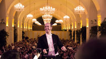 Soirée au château de Schönbrunn : dîner et concert Soirée au château de Schönbrunn : dîner et concert