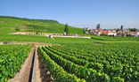 Excursion en petit groupe avec dégustation de vin dans la région de Champagne, au départ de Paris Excursion en petit groupe avec dégustation de vin dans la région de Champagne, au départ de Paris
