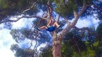 Eintrittskarte für den Mallorca Forestal Park Eintrittskarte für den Mallorca Forestal Park