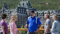 Excursión de verano: Banff y sus animales Excursión de verano: Banff y sus animales