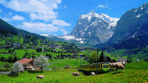 Excursión de 2 días a la cumbre de Europa en Jungfraujoch desde Zúrich: Interlaken o Grindelwald Excursión de 2 días a la cumbre de Europa en Jungfraujoch desde Zúrich: Interlaken o Grindelwald