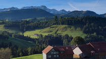 Super Saver de Zúrich: Excursión de un día a la campiña suiza y recorrido por los lugares más destacados de Zúrich Super Saver de Zúrich: Excursión de un día a la campiña suiza y recorrido por los lugares más destacados de Zúrich