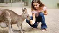 3-Day Blue Mountains and Hunter Valley Small-Group Eco-Tour, Sydney, Multi-day Tours