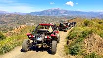 Malaga Shore Excursion: Panoramic Buggy Tour with Wine Tasting in a Historical Cellar Malaga Shore Excursion: Panoramic Buggy Tour with Wine Tasting in a Historical Cellar