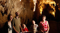 Excursión de descubrimiento de las cuevas Waitomo Glowworm de Auckland Excursión de descubrimiento de las cuevas Waitomo Glowworm de Auckland