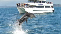 Ganztägige Bay of Islands, Hole in the Rock und Dolphin Cruise Tour ab Auckland Ganztägige Bay of Islands, Hole in the Rock und Dolphin Cruise Tour ab Auckland