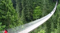Excursión por la orilla norte de Vancouver al Puente Capilano y el Monte Grouse Excursión por la orilla norte de Vancouver al Puente Capilano y el Monte Grouse
