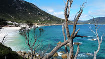 Wilsons Promontory: Wandertour ab Melbourne Wilsons Promontory: Wandertour ab Melbourne