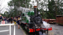 Puffing Billy-trein met optionele Penguin Parade of tour door Melbourne Puffing Billy-trein met optionele Penguin Parade of tour door Melbourne