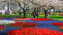 Keukenhof: Transport und Keine-Warteschlangen-Ticket ab Amsterdam Keukenhof: Transport und Keine-Warteschlangen-Ticket ab Amsterdam