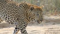 4-tägige Reise zum Krüger-Nationalpark von Johannesburg aus 4-tägige Reise zum Krüger-Nationalpark von Johannesburg aus