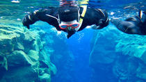 Schnorcheltour am Las Canteras-Strand Schnorcheltour am Las Canteras-Strand