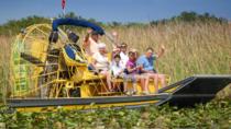 Excursão de aerobarco para grupos pequenos por Everglades, na Flórida, Orlando