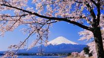 Excursión para ver los cerezos en flor con visita al castillo de Odawara, el lago Kawaguchi y paseo en barco pirata con almuerzo bufé incluido Excursión para ver los cerezos en flor con visita al castillo de Odawara, el lago Kawaguchi y paseo en barco pirata con almuerzo bufé incluido