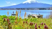 Tagestour zum Fuji: 5te Station, En Soleil Bootstour, Yamanashi Weingut und saisonale Obsternte inklusive Mittagessen Tagestour zum Fuji: 5te Station, En Soleil Bootstour, Yamanashi Weingut und saisonale Obsternte inklusive Mittagessen
